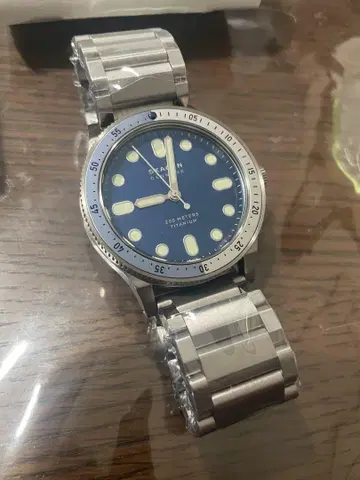 스카겐 Fisk 티타늄 한정판