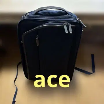 ace. 에이스 비즈니스 백 2way 핸드백 백팩