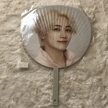 SEVENTEEN 정한 ODE TOYOU 부채