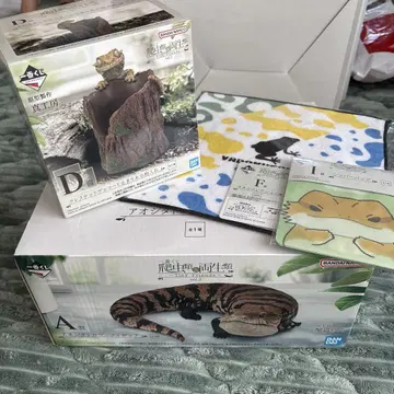 제일복권 파충류 양서류 A&D 상 크레스티드 게코 아오지타도마뱀