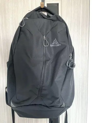 그레고리 Gregory 루네 20L
