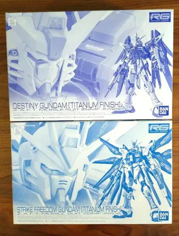 RG 데스티니 & RG 스트라이크 프리덤 (티타늄 피니쉬)