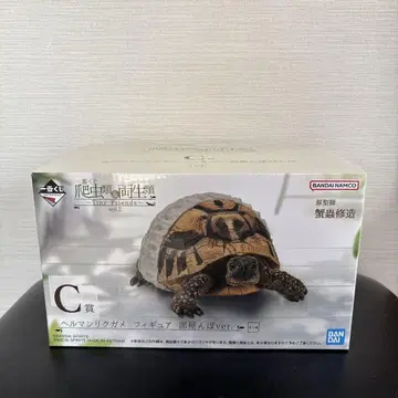 파충류 & 양서류 제일복권 C상 헤르만 육지거북 피규어