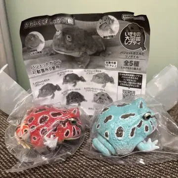 생물대도감 레프티 2개 세트