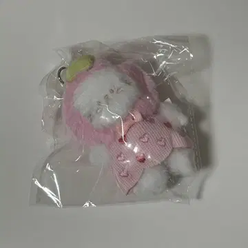 히나타자카46 히가시무라 메이 딸기를 쓴 고양이 봉제인형 키링 caho