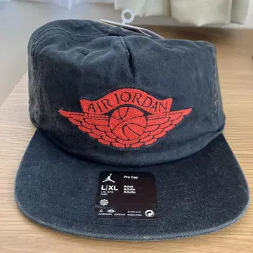 Air Jordan 프로 캡 LXL 블랙