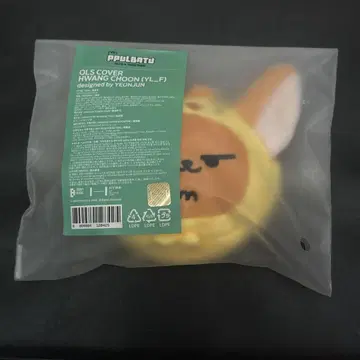 판춘 코인 파우치 뿔바투 TXT