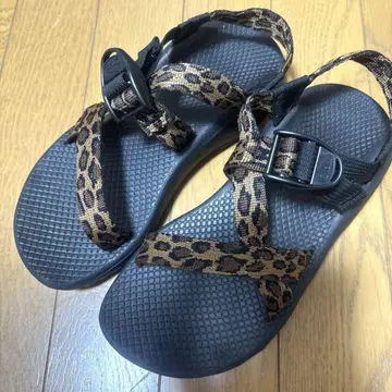 Chaco Z1 CLOUD 빔즈 보이 레오파드 W6 23cm