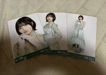 네이블 오렌지 나카니시 아르노 컴프