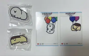 문구와 함께 아크릴 배지 문구 씨 푸딩 씨 클리어 카드 총 4개