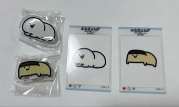 문구와 함께 아크릴 배지 문구 씨 푸딩 씨 클리어 카드 총 4개