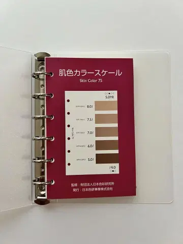 살색 컬러 스케일