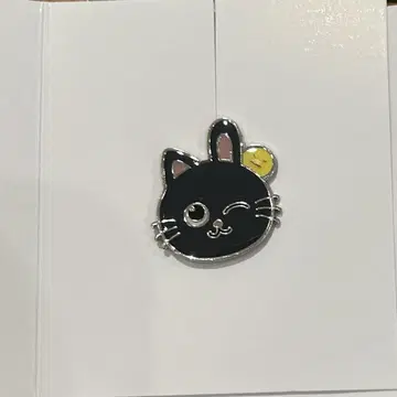 RIIZE 커스텀 참 원빈
