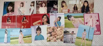 TWICE 모모 런트레 세트