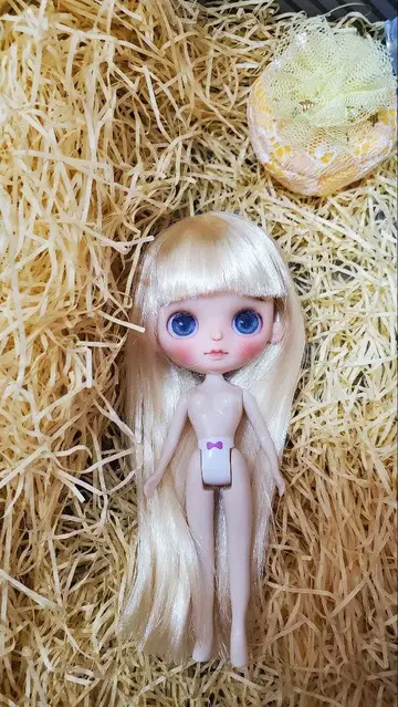 미니 브라이스 커스텀