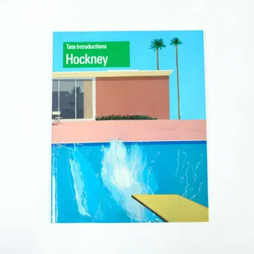 David Hockney Helen Little 화집 외국도서 Tate