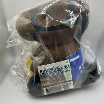 키타산 블랙 아이돌 호스