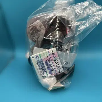 토카이 테이오 아이돌 호스