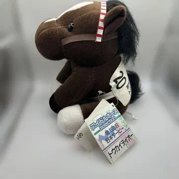 토카이 테이오 아이돌 호스