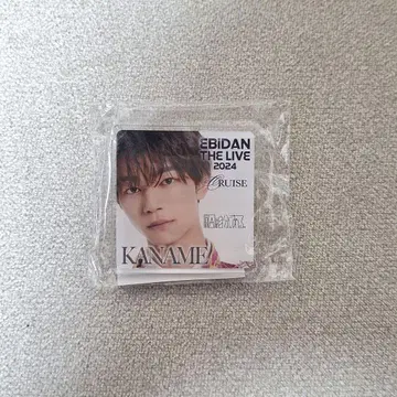 EBiDAN THE LIVE 2024 CRUISE 아크릴 클립