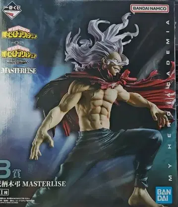시카기 마스터리스 MASTERLISE B상