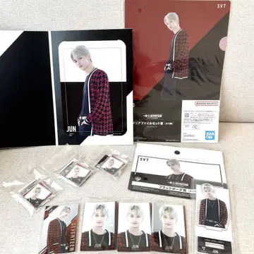 SEVENTEEN 세부치 제일복권 키링 트레이딩 카드 아크릴 스탠드 준