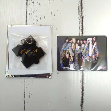 Girls2 투어 굿즈 가루가루 미니 퍼즐 키링 외 전원