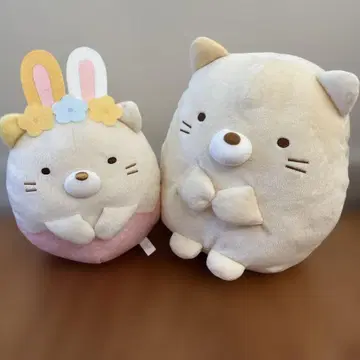 스미코구라시 고양이