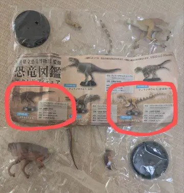 후쿠이 현립 공룡 박물관 가챠가챠 후쿠이베나토루 후쿠이라프토루
