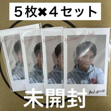 A group chameleon 혜택 폴라로이드
