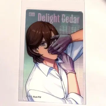 그라쇼 렌티큘러 카드 코토부키 레이지