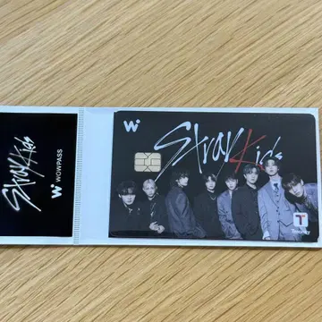 Stray kids WOWPASS 올