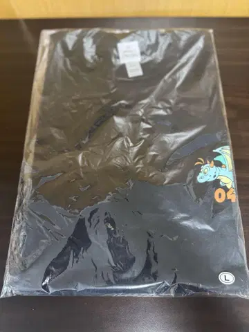 04 Limited Sazabys 롱T L