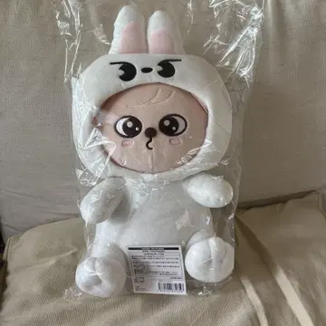 StrayKids SKZ TOY WORLD 안고 있는 봉제 인형 파핌