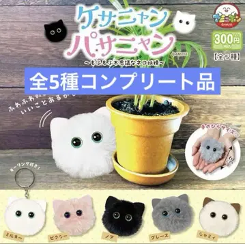 케사냥파사냥 ~모후모후 신비한 고양이 요정~ 전 5종 컴플리트 상품