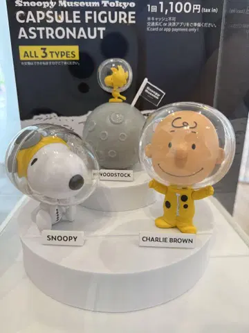 snoopy 스누피 뮤지엄 캡슐 피규어 아스트로노츠 전종