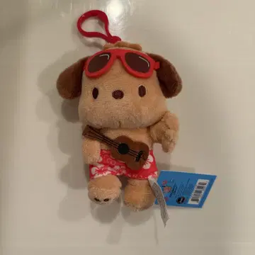 포차코 하와이 일광화상