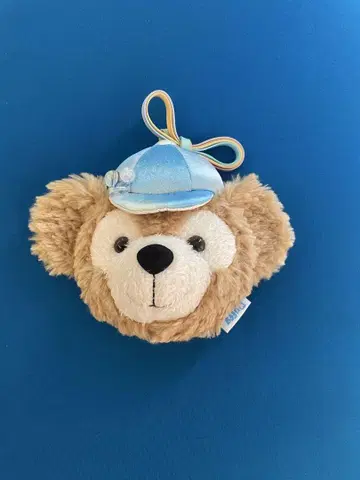 디즈니 발케파 굿즈 더피&프렌즈 20주년 컬러풀 해피니스 한정판 숄더