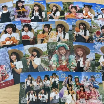 Appare! 고향 초이스 브로마이드