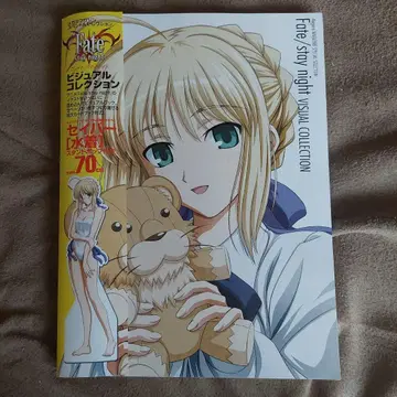 Fate/stay night 비주얼 컬렉션