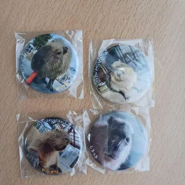 아소 팜랜드 카피바라 캔뱃지 4개 세트
