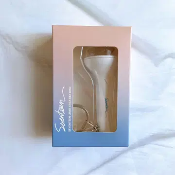 SEVENTEEN 세부치 미니 응원봉 버전 1