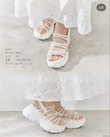 시마무라(치하루/디즈니) 온라인 스토어 한정판