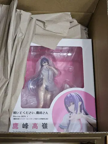 신어주세요, 타카미네 씨 1권 피규어만