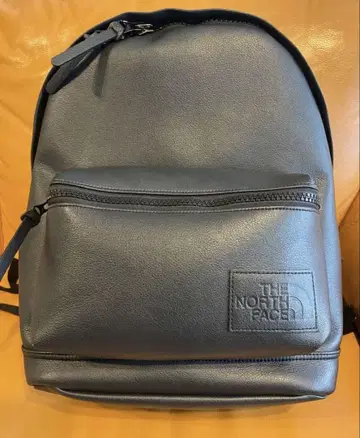 THE NORTH FACE 튜닝 가죽 버클레이 미니
