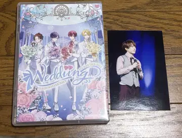 우라시마사카타센 웨딩 여름 2024 DVD BluRay