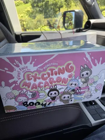 LABUBU EXCITING MACARON 슈리 포함 모듬 박스