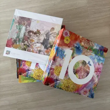빈 박스 + 사진 포스터 19장 Mrs. GREEN APPLE 10 굿즈