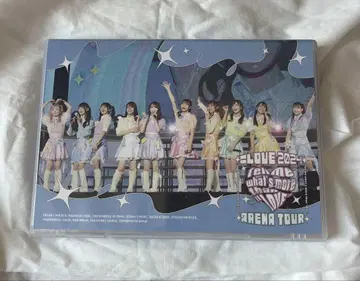 = LOVE 아레나 투어 2024 DVD