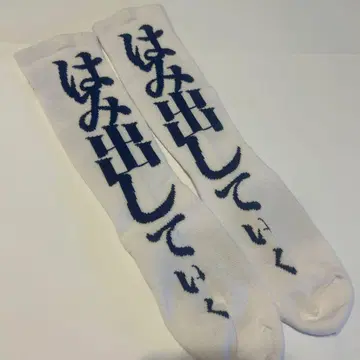 새로운 학교의 리더즈 양말 M